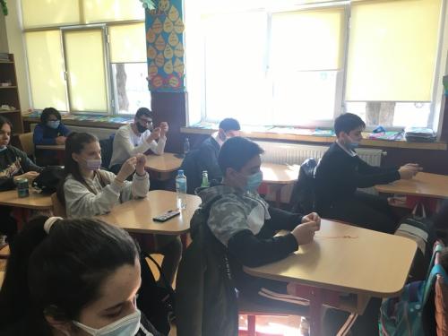 IMG 2296-Copy